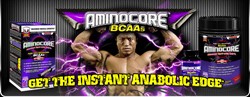 Amino Core BCAA (315 gr) - фото 5281