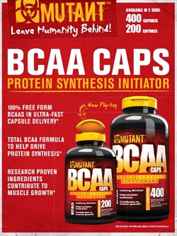 BCAA (400 caps) - фото 5967