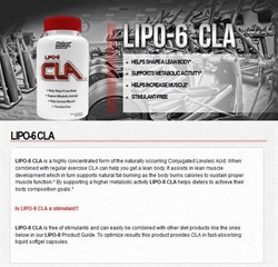 Lipo 6 CLA (90 softgels) - фото 5998