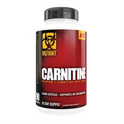 Carnitine (90 caps) - фото 6901