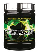 L-Glutamine (300 gr)