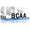 BCAA (150 caps) - фото 4747