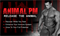 Animal PM (30 pac) - фото 5994