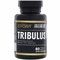 Tribulus 1000 (60 tab) - фото 6321
